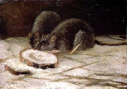 Two Rats - Vincent van Gogh, 1884